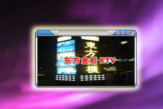  东方金柜